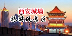 肥胖熟妇的胯下蜜汁中国陕西-西安城墙旅游风景区